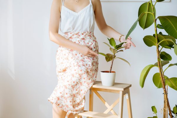 Women's Chiffon Elastic High Waist Skirts
