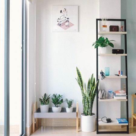 White Ceramic Pot Sansevieria Plant Fake Snake Plant Greenery Faux Snake Plant in Pot for Home