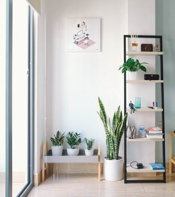 White Ceramic Pot Sansevieria Plant Fake Snake Plant Greenery Faux Snake Plant in Pot for Home
