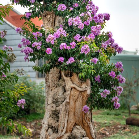 Tree Artificial Plant Flower Indoor Office Home Decoration Artificial Pruning Tree
