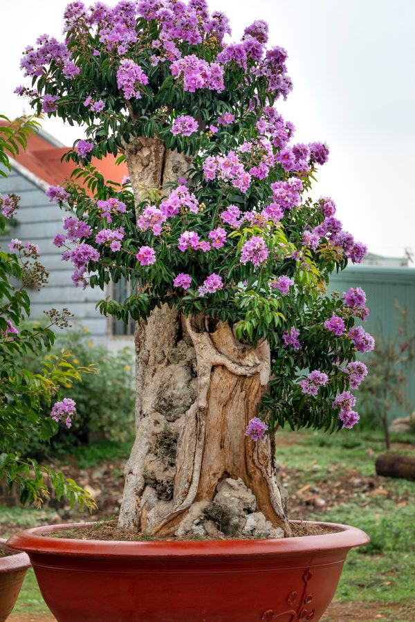 Tree Artificial Plant Flower Indoor Office Home Decoration Artificial Pruning Tree
