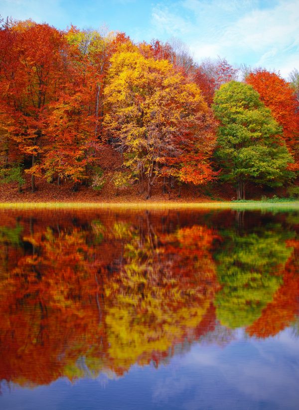 Autumn Warm Landscape Reflection Oil Painting