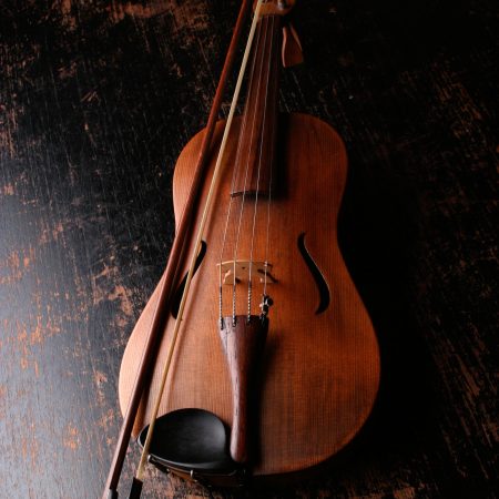 Black Solid Wood Violin  - 1-Piece Violins w/Case, Tuner, Shoulder Rest, Bow, Rosin, Bridge & Strings - Adult, Kids