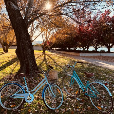 THREE STONE P-008 Folding Bicycle, 20 Inches, Shimano 6-Speed, Includes Air Pump, 15 Color Options, Basket, Light, Wire Lock, Foldable Bike, Commuting to Work and School, City Riding